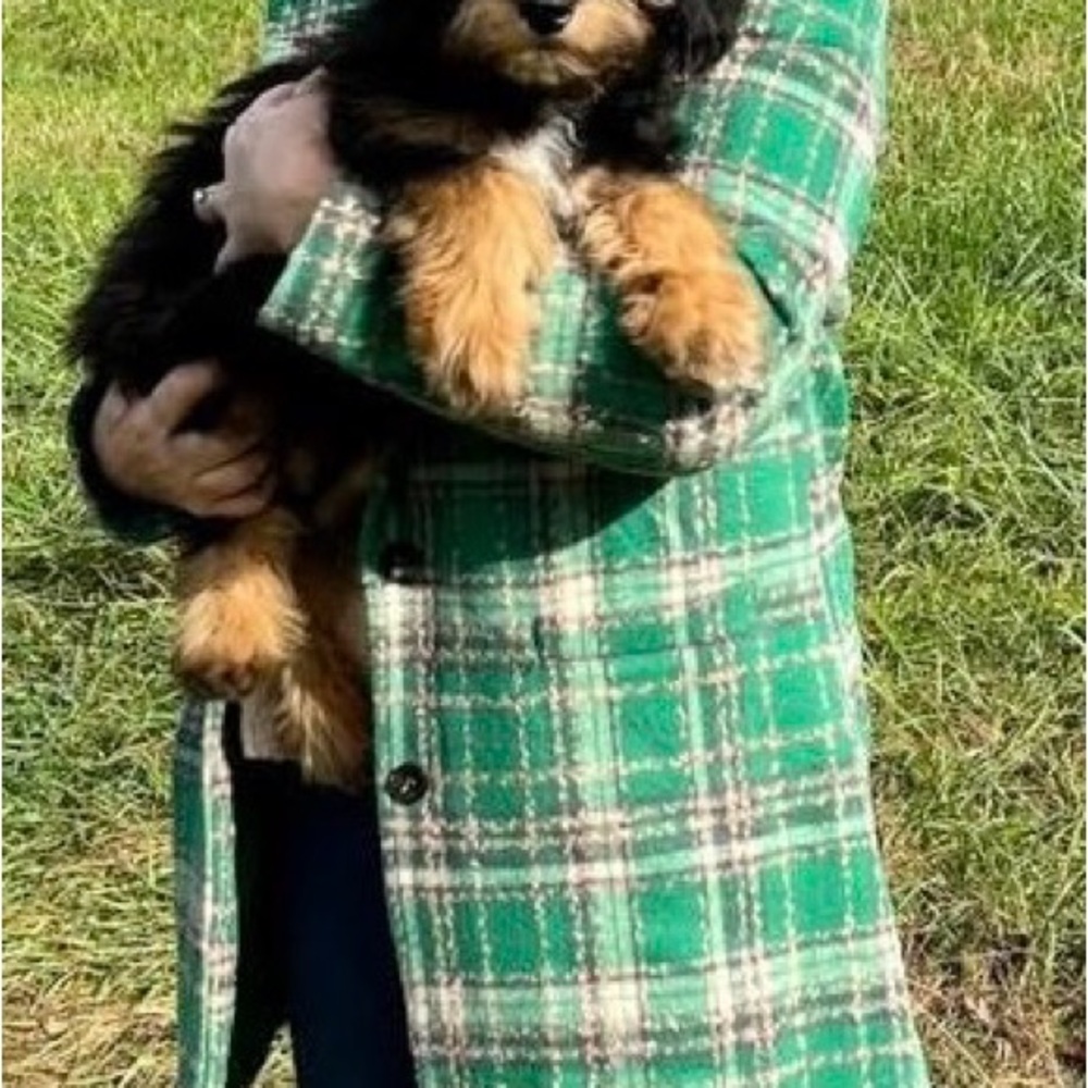 Women's Green Plaid Coat